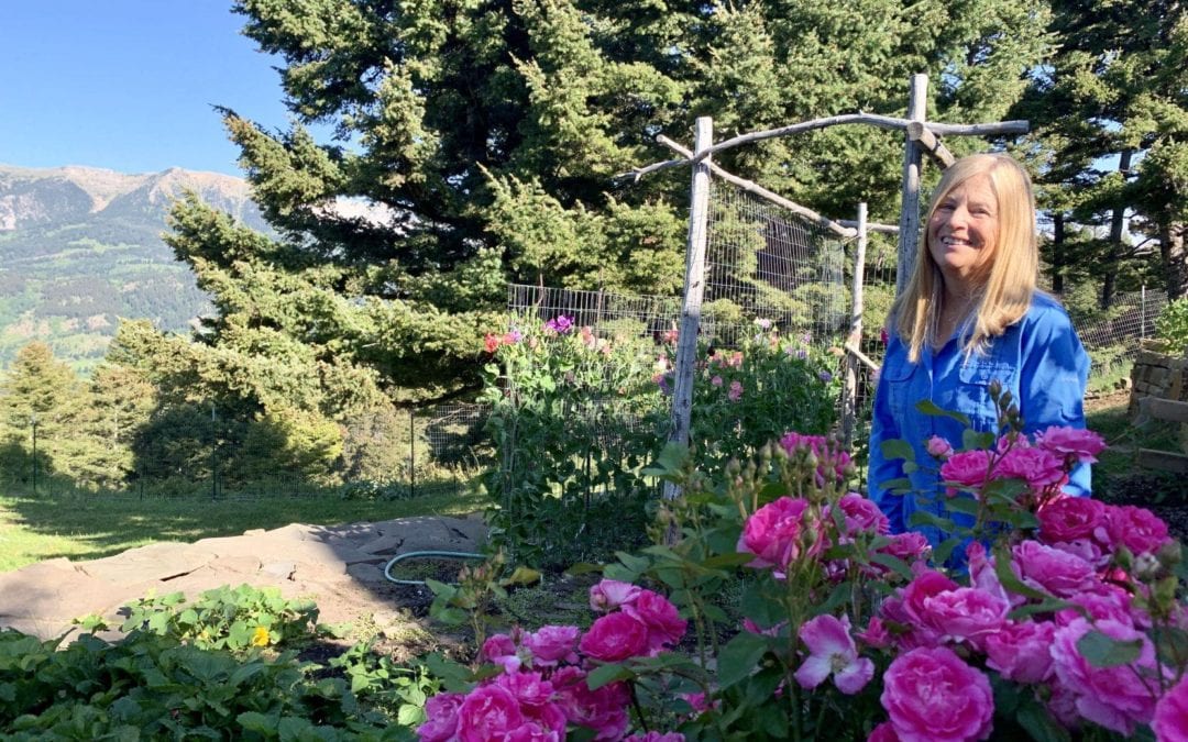 Bozeman’s sweet pea flower champion revs up for another year