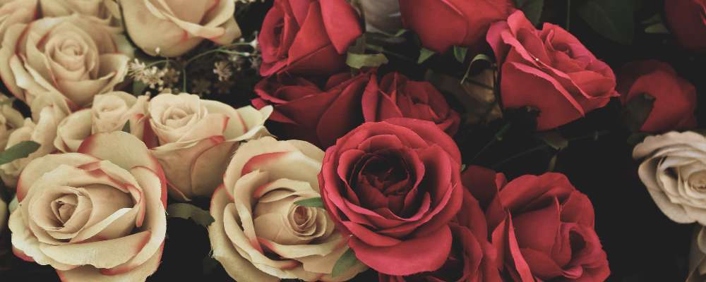 Post-harvest Valentine’s Day Tips For Longer Lasting Roses