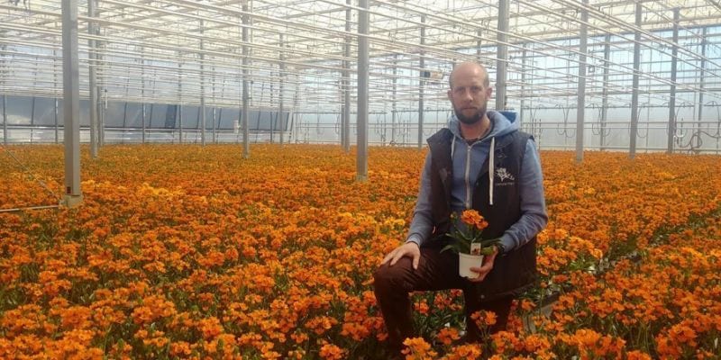 Flower growers see sales wither as planting season launches