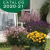 Danziger Launches its New Perennials Catalog for the 20-21 Season