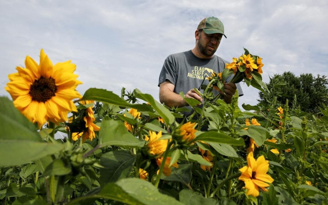 Duluth couple’s flower farm a blossoming family biz