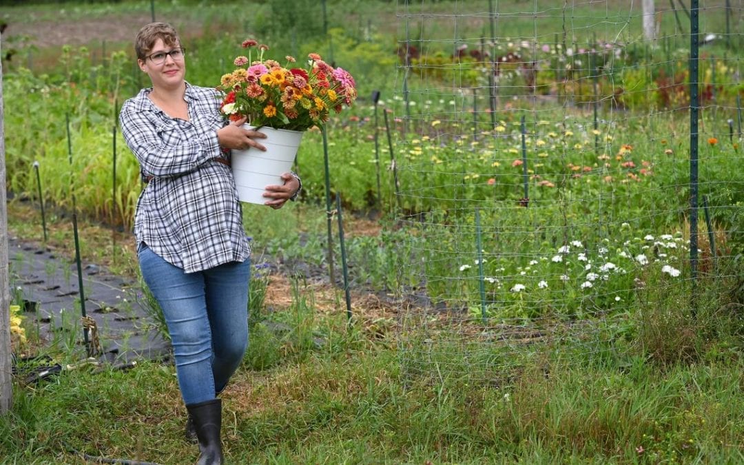 Seeds of growth: Cut flower farms blossoming in lakes area