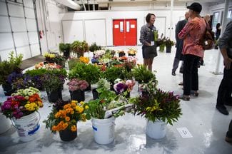 Michigan Flower Growers’ Cooperative helps small businesses bloom