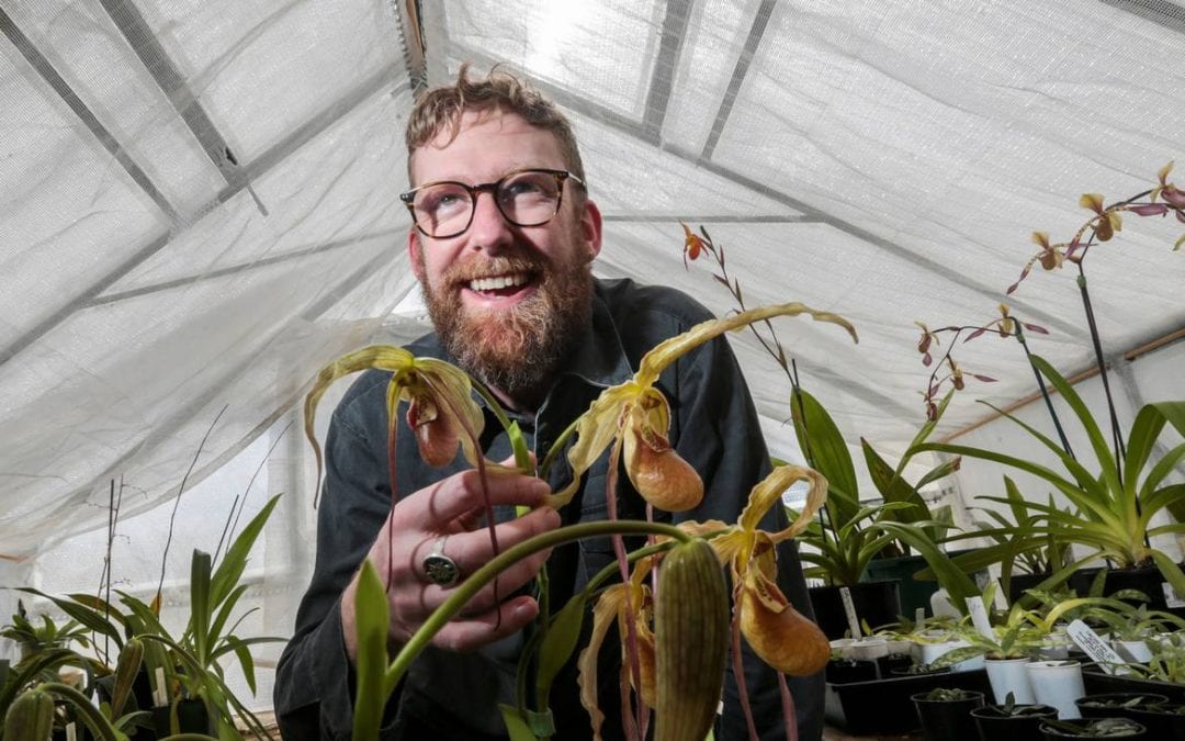 Hawke’s Bay orchid grower takes top honour at national event