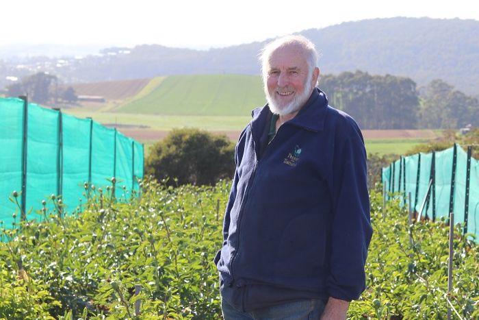 Peony producer reflects on three decades as Tasmania’s leading flower grower