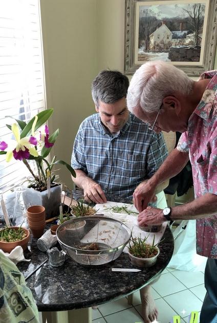 Orchids are Bedford man’s passion