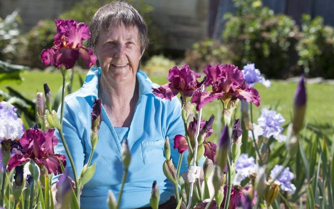 South Canterbury hosting New Zealand Iris Convention | Super Floral