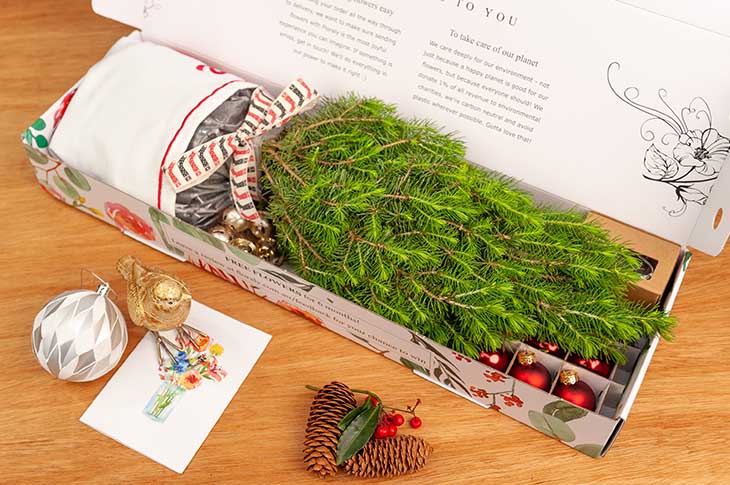 Living Christmas trees an innovative client gift