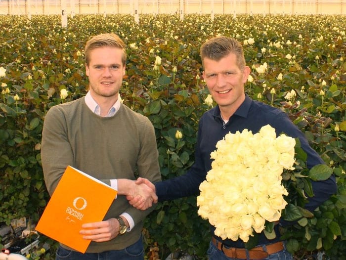 Dümmen Orange and Avalanche+ Growers Continue Successful Partnership