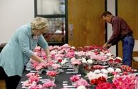 Camellia society hosts annual show and plant sale