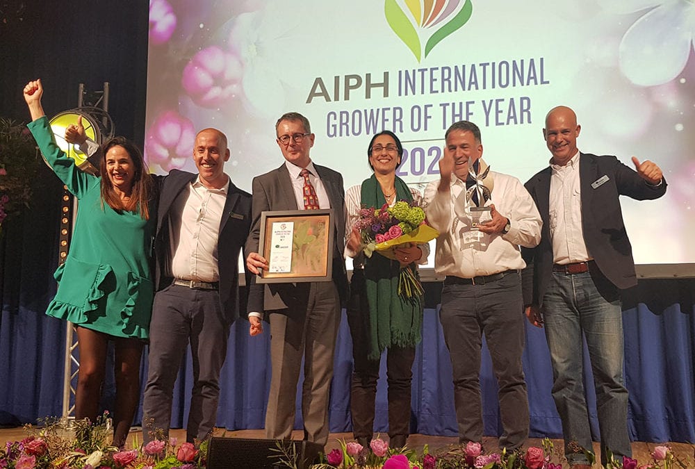 Danziger Guatemala, Israel, wins Bronze in Young Plants category at AIPH International Grower of the Year 2020