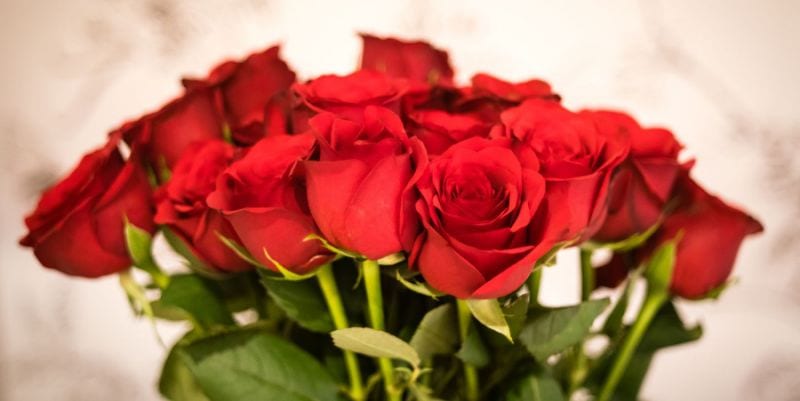 Whole Foods Is Selling 2 Dozen Roses For $20 Now Through Feb. 14