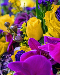 CA Flower Mall Petalers Design Kobe Bryant Rose Tribute and Ofrenda