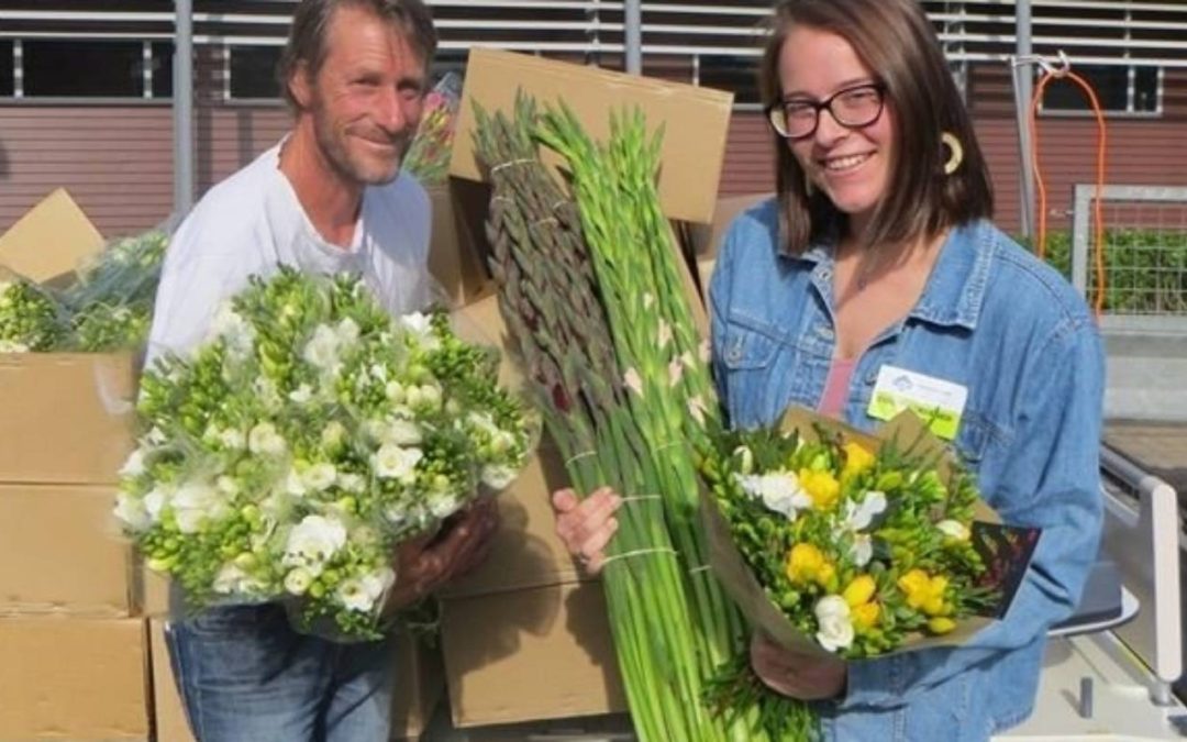 Coronavirus: Mothers’ Day could be saving grace for beleaguered flower growers
