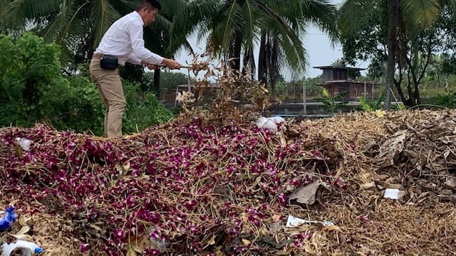 From bloom to doom: COVID-19 sees flower harvest heading for the bin