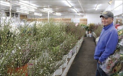 Amid cancellations, flower sales plummet