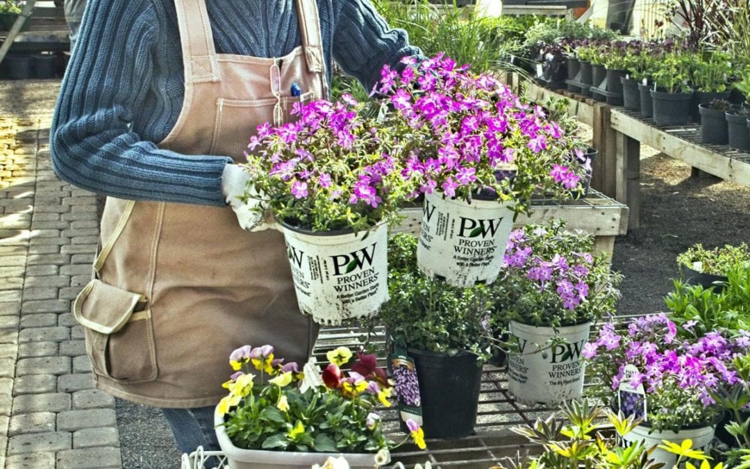 Nurseries gear up for spring